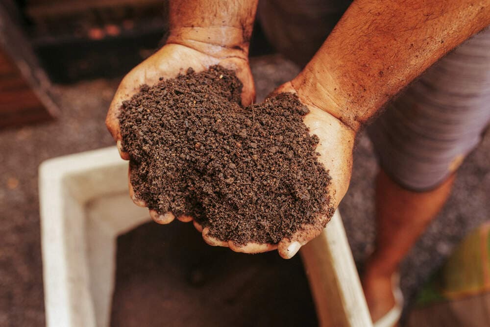 Hands holding soil